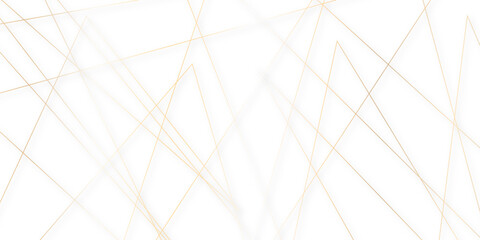 Abstract colorful lines on transparent background. random chaotic lines abstract geometric patterns of modern design. geometric design created using light colorful digital net web line technology.