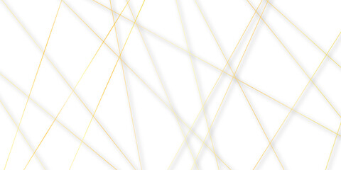 Abstract colorful lines on transparent background. random chaotic lines abstract geometric patterns of modern design. geometric design created using light colorful digital net web line technology.