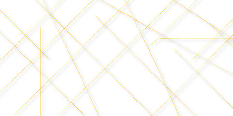 Abstract colorful lines on transparent background. random chaotic lines abstract geometric patterns of modern design. geometric design created using light colorful digital net web line technology.