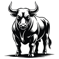 black and white bull