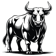 black and white bull