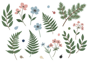 Botanical collection featuring delicate flowers, lush ferns, and evergreen branches for natural designs.