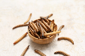 Wooden bowl with fried maggots on white background