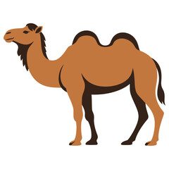 camel cartoon vector