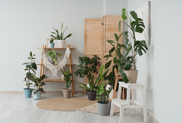 Wooden shelving unit with different houseplants and folding screen near white wall in room