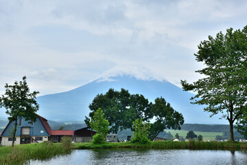 池に映る逆さ富士と夏の富士山