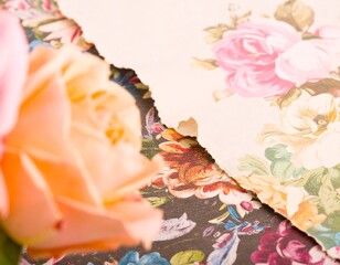 Delicate roses on patterned paper