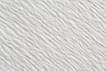 Close-up view of textured, light gray paper (10)