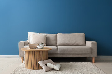 Interior of living room with sofa, coffee table and pillows