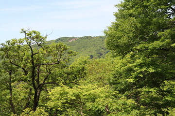 春の佐渡島。トンデン山の風景。