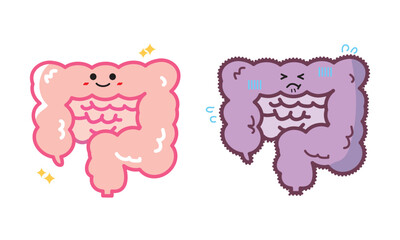 人の臓器キャラクター　健康な腸と不健康な腸　セット