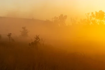 Fotobehang Oranje Western Australia's famous Gibb River Road at sunset with thick dust..  © Grantat