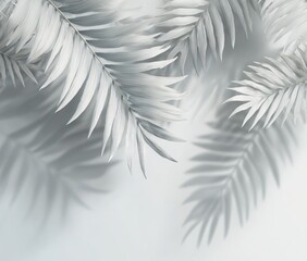 Light gray palm leaves with dramatic shadows