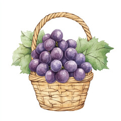 Fototapeta premium a cute Grape fruit on a basket