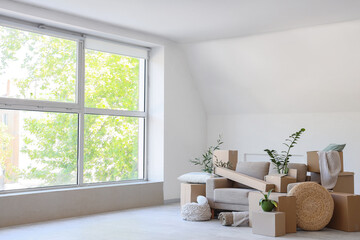 Grey sofa with cardboard boxes and plants in room on moving day