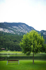 Lonely Bench by the Lake with Mountain and Tree in Scenic Landscape