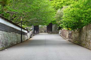 飫肥城跡 大手門通りの石垣と緑豊かな街並み