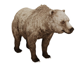 Fototapeta premium 3d rendering wild bear