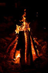 beautiful fire burning in the darkness of the night