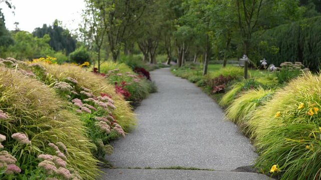 Serene Garden Path Surrounded by Lush Greenery and Colorful Flower Beds