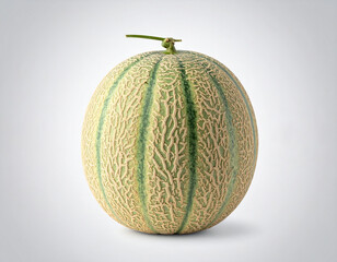 과일-메론-머스크 멜론