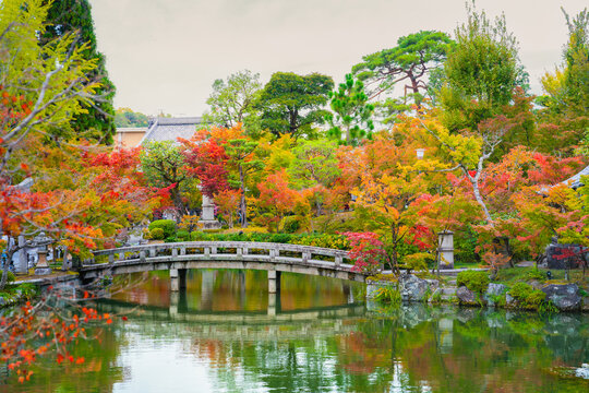 Eikando Zenrinji Temple, Japanese garden in autumn with maple leaves, stone bridge, and reflection pond in Kyoto, Japan