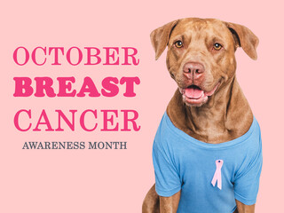October breast cancer. Awareness month. Cute dog and Pink Awareness Ribbon. Express moral support....