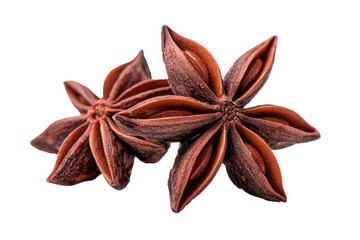 Close-up of two star anise