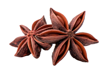 Close-up of two star anise
