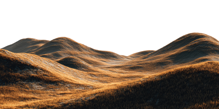 Rolling hills of golden grasses under a clear sky