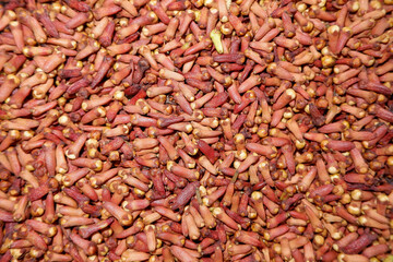 Fill the Frame with Dried Cloves Texture