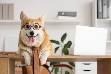 Funny business dog with eyeglasses and necktie lying on desk in office