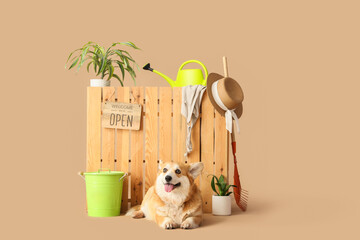 Cute Corgi dog with gardener's supplies and OPEN sign on beige background