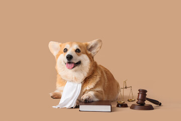 Cute Corgi dog with judge's gavel, justice scales and law book on beige background