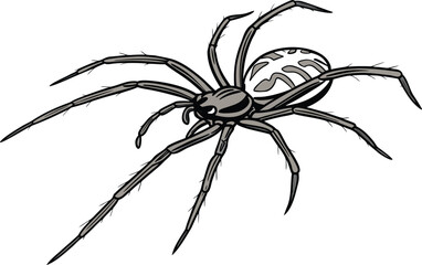 Spider Sketch Illustration. Realistic Spider Drawing. Hand Drawn Spider Artwork. Detailed Spider Line Art. Arachnid Sketch Illustration. Spider Outline Drawing. Creepy Spider Sketch Design Insect