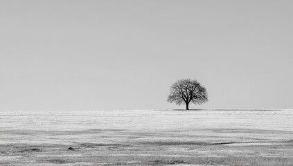 A solitary tree on a vast, snowy plain