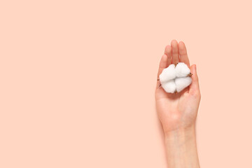 Female hand with cotton flower on pink background, closeup