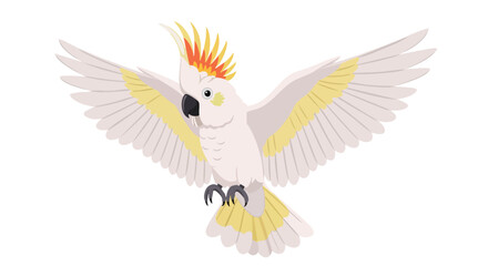 Obraz premium Elegant sulphur crested cockatoo in flight showcasing its distinctive plumage and outstretched wings against a pure white canvas conveying freedom