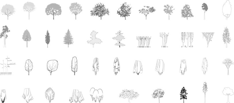 A black-and-white vector collection of various tree elevations with different foliage styles and shapes, perfect for architectural, landscape, and urban design projects.