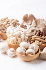 Champignon, Yanagi, Shimeji, oyster and King oyster mushroom on white background.Asian edible mushroom, Food ingredients