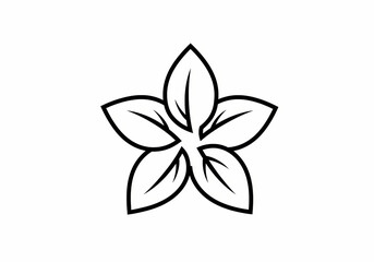 Elegant Line Art Flower FivePetal Blossom Illustration on transparent background