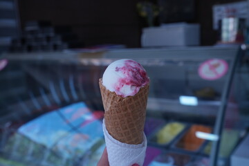 Blueberry Yogurt Ice Cream Gelato - ブルーベリー ヨーグルト アイスクリーム