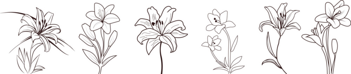 Minimalist lily tattoo outline with elegant and simple design and Illustrator Artwork bundle set and file. 