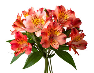 Obraz premium Side-Angled Bouquet of Alstroemeria Flowers with Stems Visible, Elegant Summer Arrangement, isolated