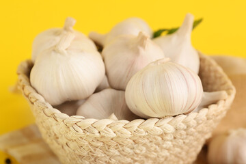 Wicker basket with fresh garlics on yellow background