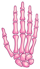 Fototapeta premium Vibrant pink hand skeleton cartoon illustration depicting human anatomy structure and bones