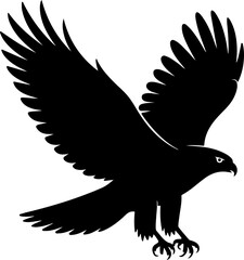 Hawk bird Vector