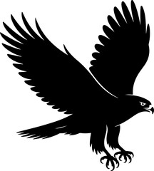 Hawk bird Vector