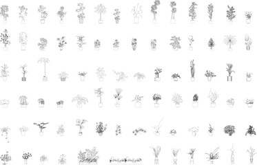 Fototapeta premium A large and diverse collection of potted plant elevations and indoor greenery in a black-and-white vector illustration, suitable for architectural, interior, and landscape design projects.