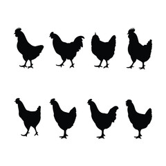 Silhouette Set of Chickens and Roosters